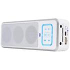 3017010 Peavey Player Accessories Bts White Bluetooth Sound System 071020228064