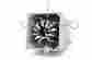 4115ocf Balun Designs Llc 4 1 Dual Core Current For Ocf Antennas By 1-54 Mhz 5kw