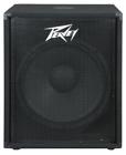 573840 Peavey Pv 118 18 Inch