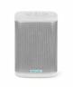 855145005805 Riva Concert With Alexa Finally Wireless Smart Speaker