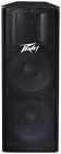 00572170 " Enclosure Peavey Dual 15