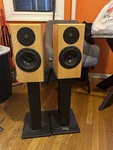 Totem Acoustic Rainmaker Bookshelf Speakers 2.0 Wired 20-100W 4 Ohms Wood. Fixed Price $800.00.